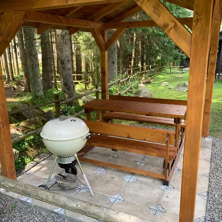 Nella - Jasna Domek alpejski Dolina Demianowska