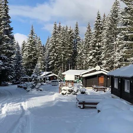 Nella - Jasna