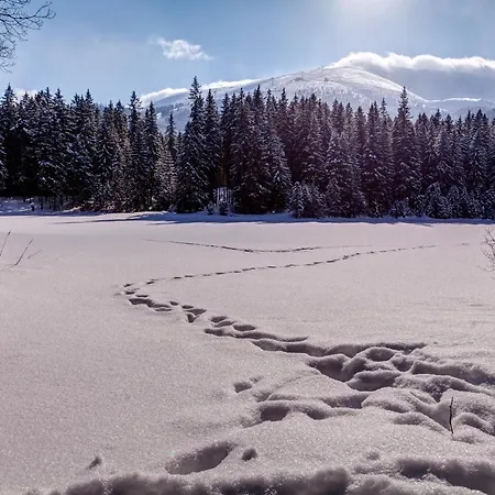 Nella - Jasna Domek alpejski Dolina Demianowska